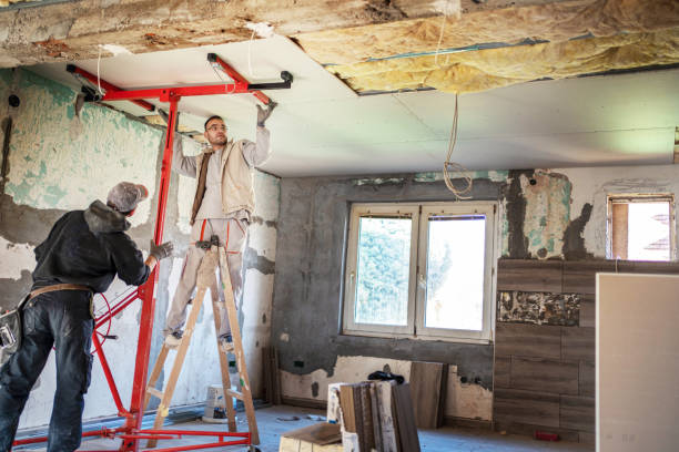 Best Professional Insulation Contractor  in Morristown, NJ
